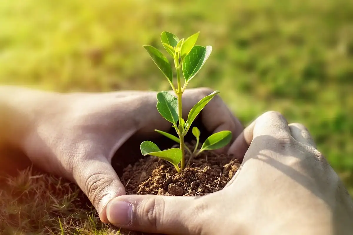 Ganzheitliches Longevity Coaching